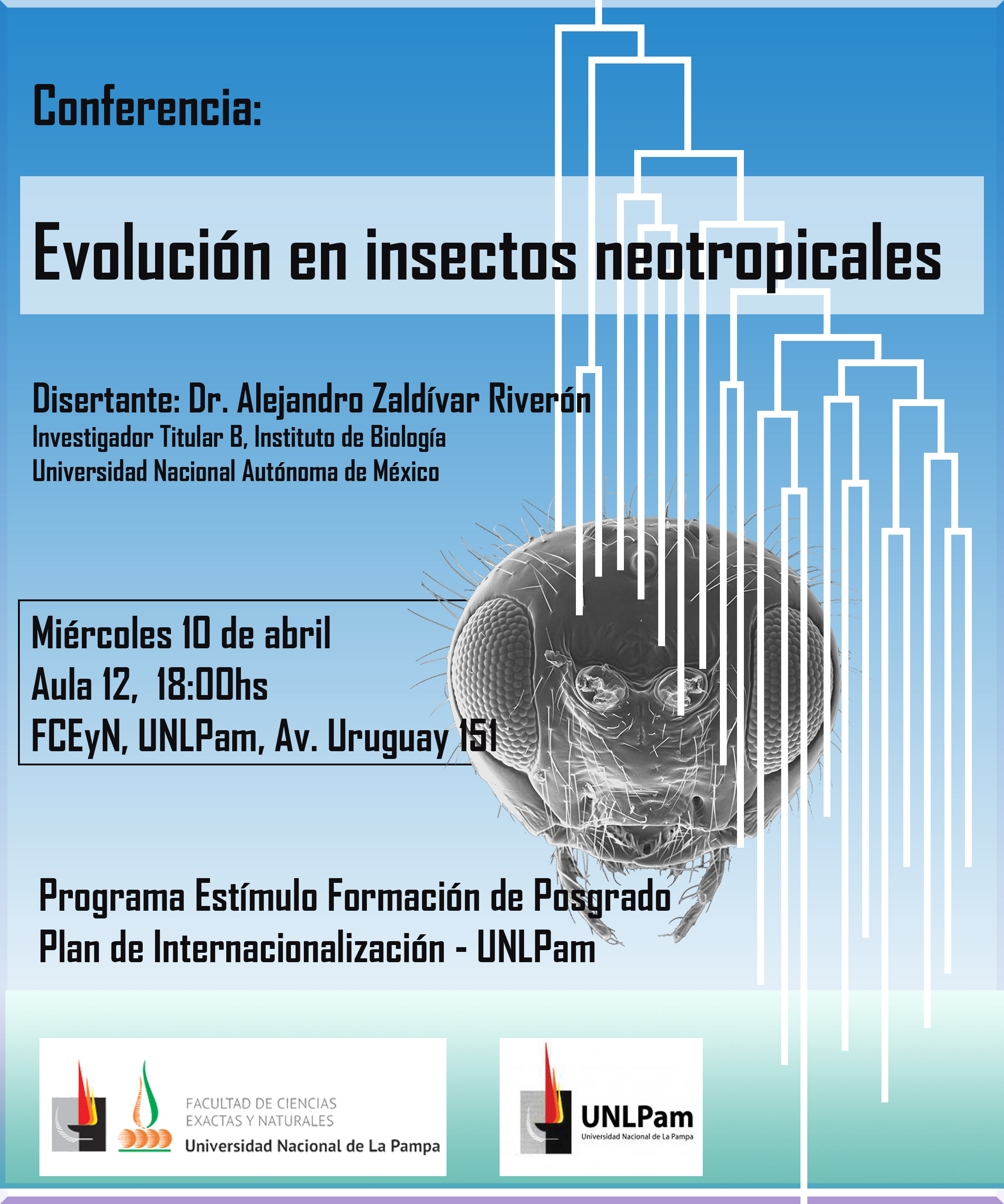 conferencia Evolución en insectos neotropicales
